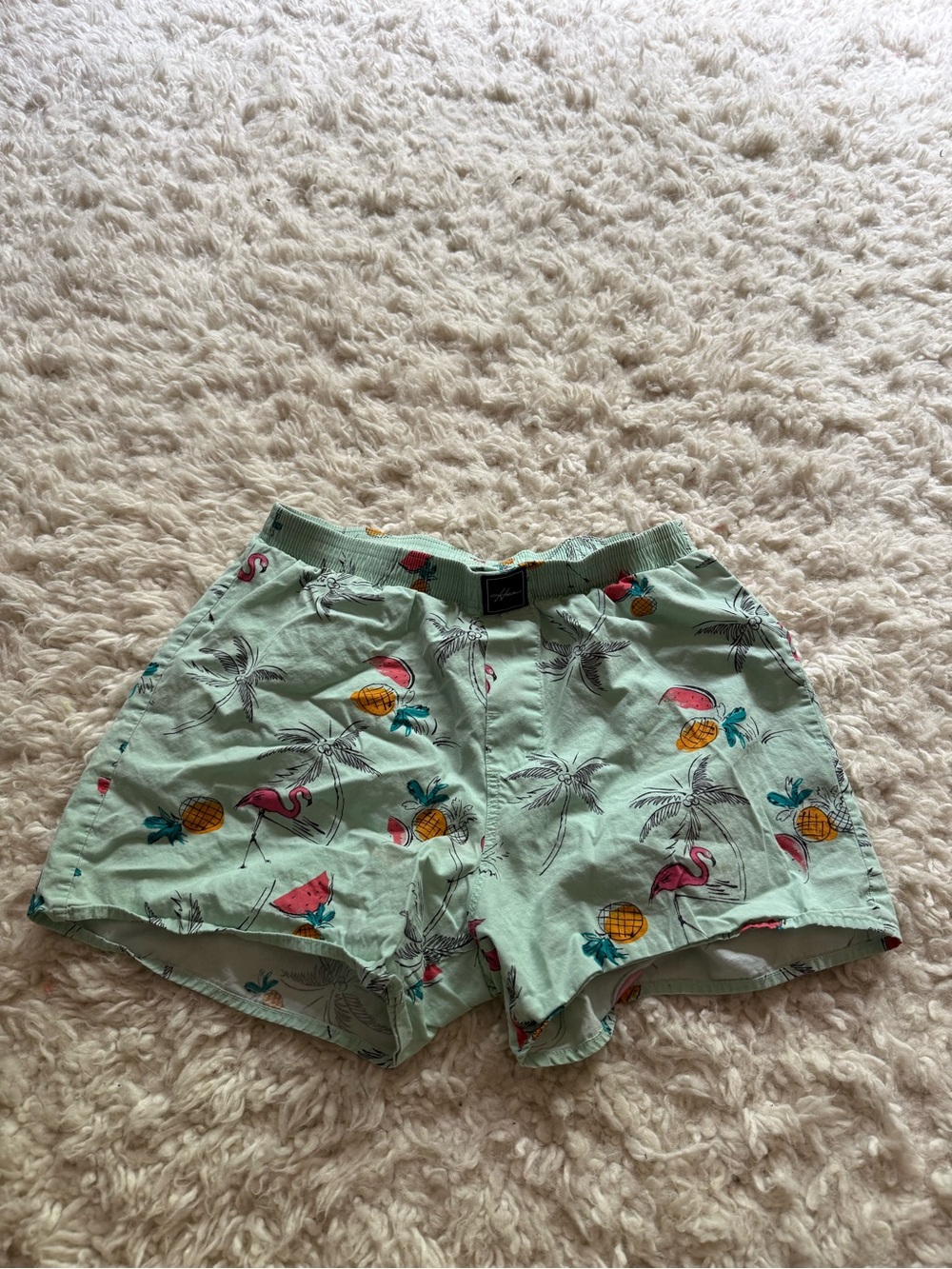 Light Green Tropical Print Boxer Shorts